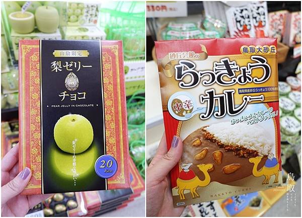我想自由的飛｜日本旅遊 鳥取砂丘 回到靈魂的原點