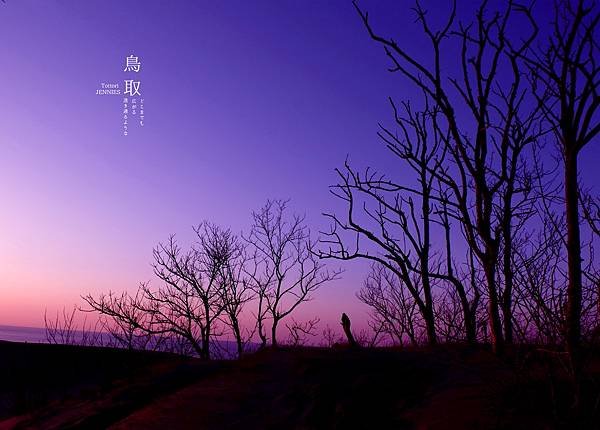 我想自由的飛｜日本旅遊 鳥取砂丘 回到靈魂的原點