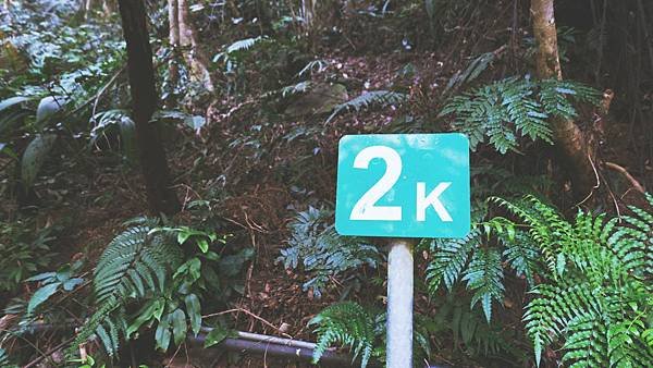 上山吃夢幻甜點｜礁溪老爺「樂遊抹茶山」抒壓之旅 三到四月天天