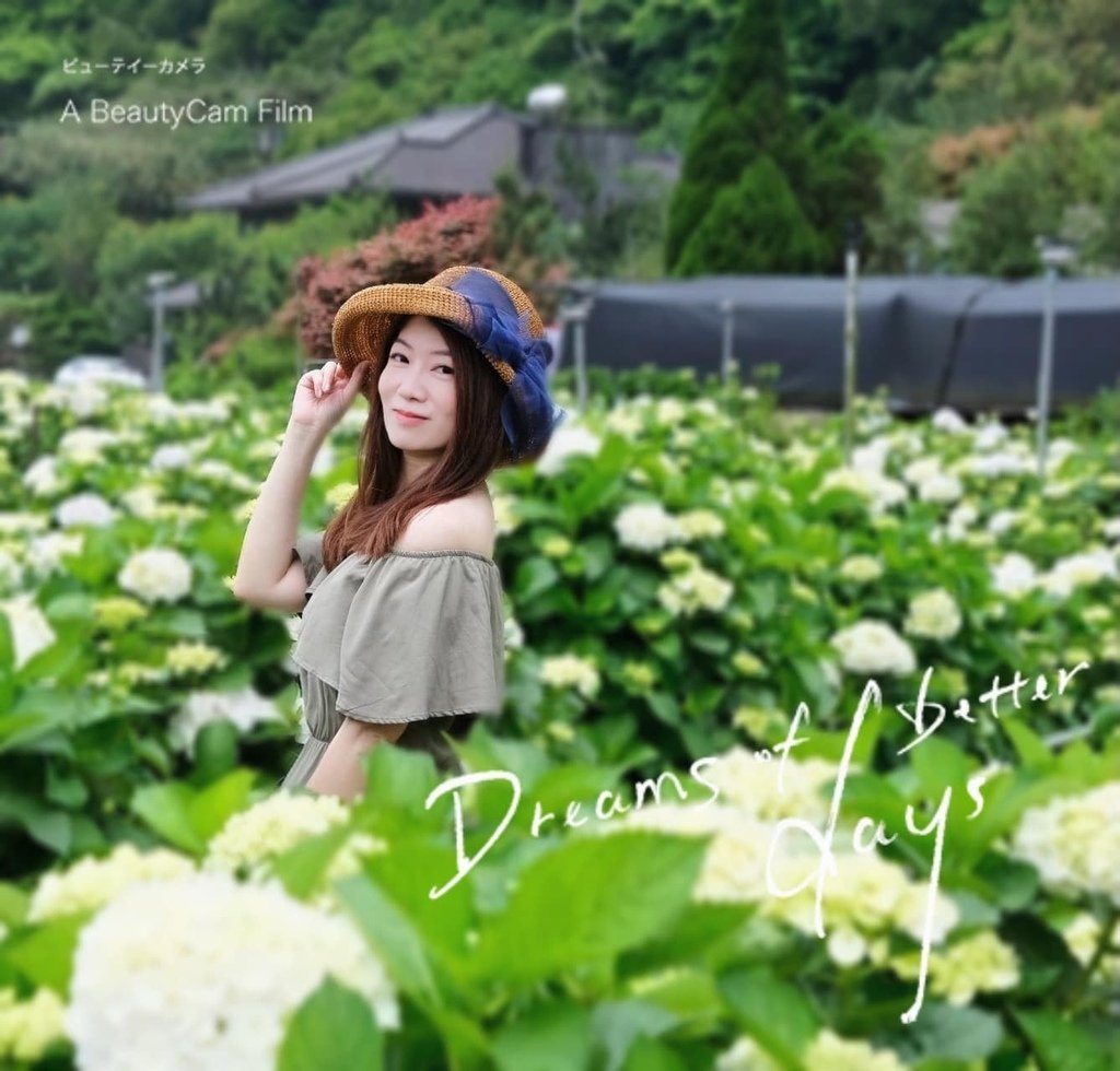 姐妹們我們來去賞花吧｜陽明山 大賞園 白色繡球花滿山滿谷好浪