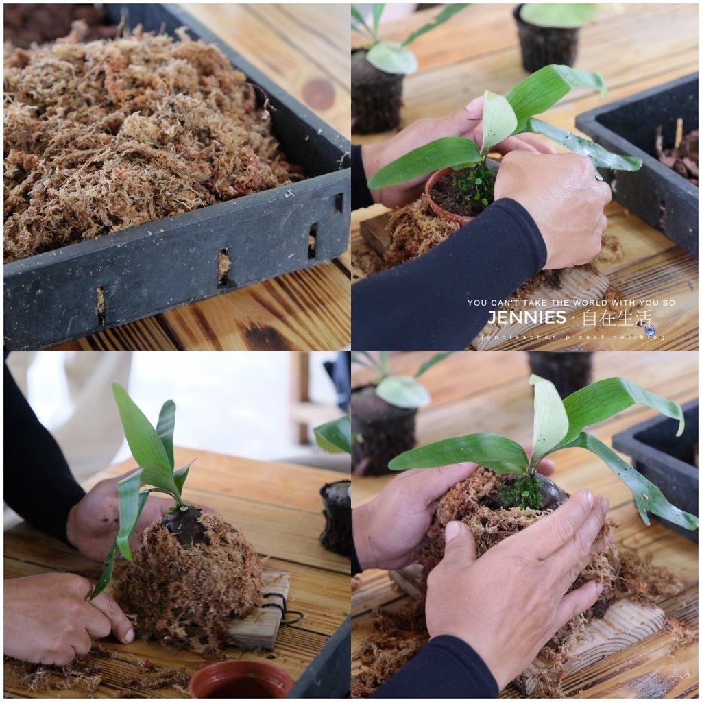 苗栗．南庄風景區部落二日遊｜體驗高山無窮寶藏 揭開神秘的賽夏