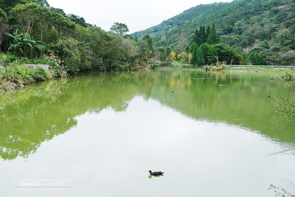 苗栗．南庄風景區部落二日遊｜體驗高山無窮寶藏 揭開神秘的賽夏