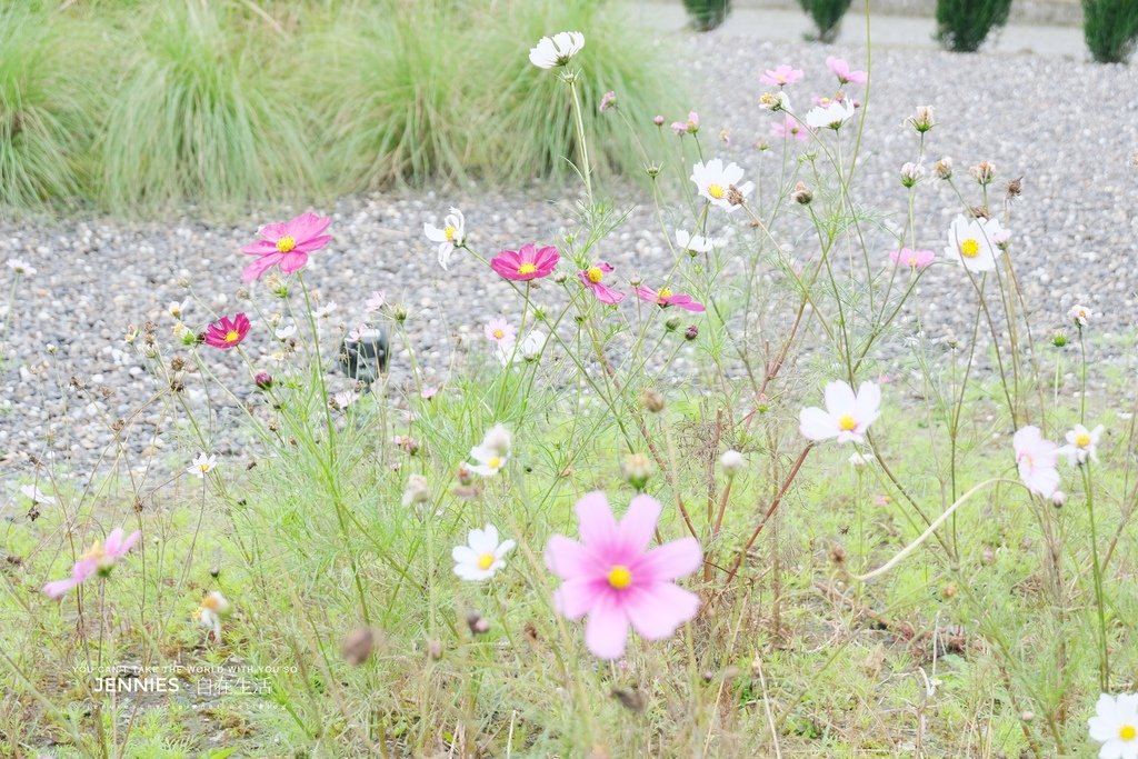 田中央靜謐溫柔的白色透明玻璃屋值得前來｜宜蘭 Walk In