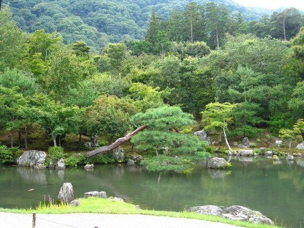 庭院1