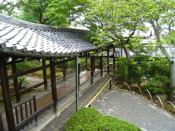庭院4
