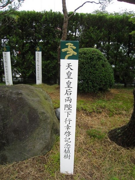 是當今皇后種的