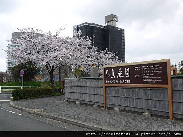 P1260610.jpg