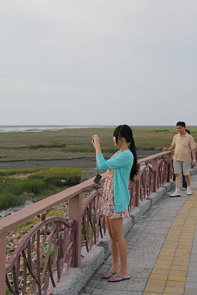 高美溼地 (21)