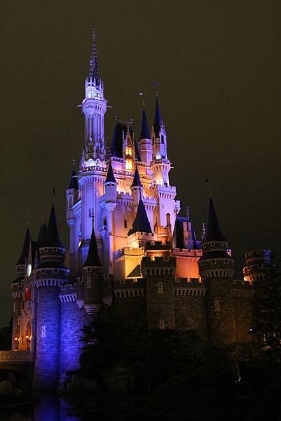 Tokyo Disneyland 東京迪士尼樂園 (337)