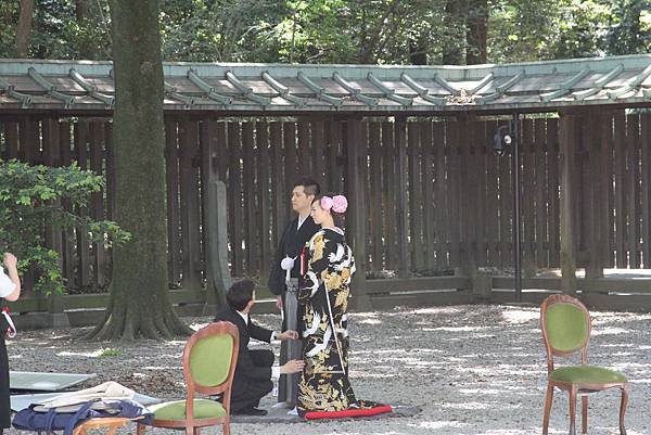 明治神宮 (102)