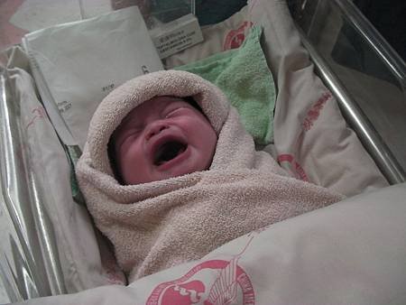 Reilly 1 day old.JPG
