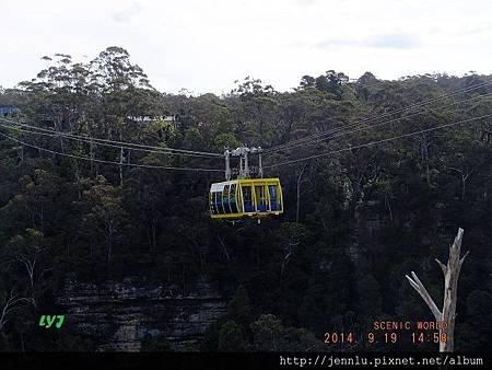 51 Scenic World (11).JPG
