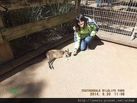 55 Featherdale Wildlife Park (6).JPG