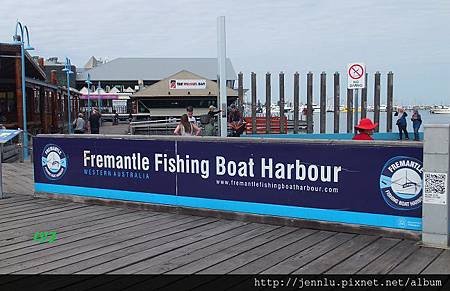 8 06 Fremantle Fishing Boat Harbour (9).JPG