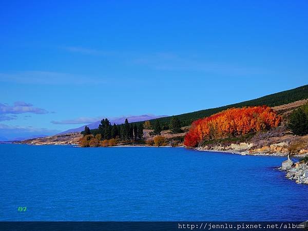 5 3 Lake Pukaki (2).JPG