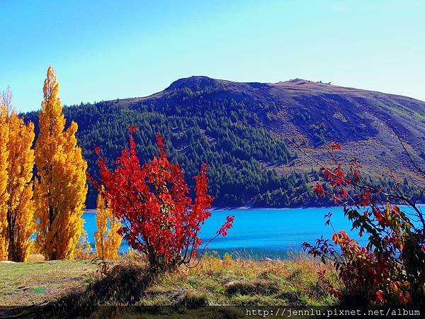 5 4 Lake Tekapo (3).JPG