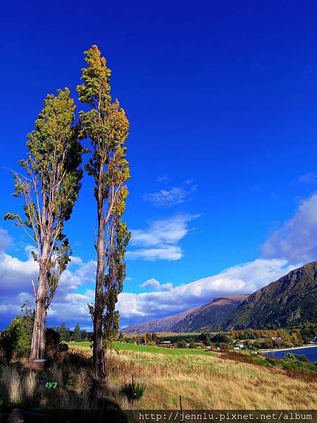 8 5 Way to Wanaka (2).JPG