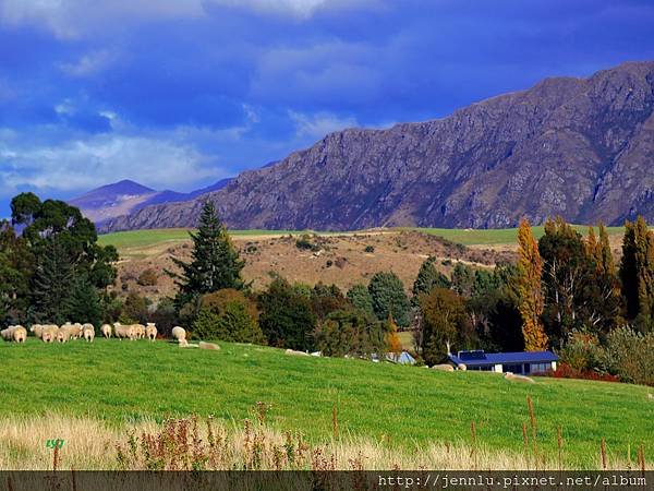 8 5 Way to Wanaka (3).JPG