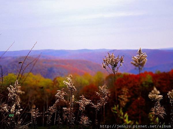 6 6 Mohawk Trail  (4).JPG