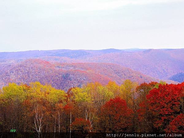 6 6 Mohawk Trail  (3).JPG