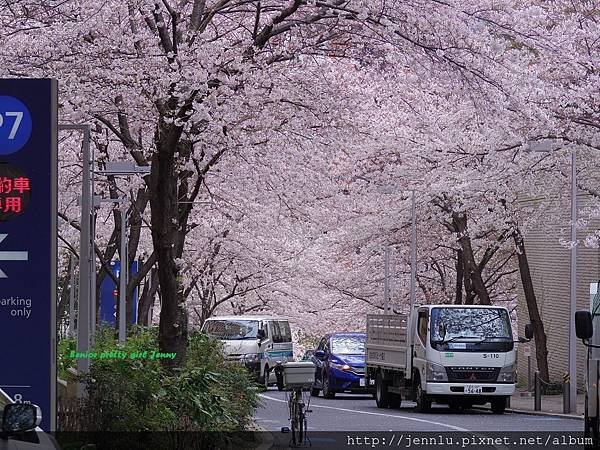 4 3 Roppongi Sakurazaka (2).JPG