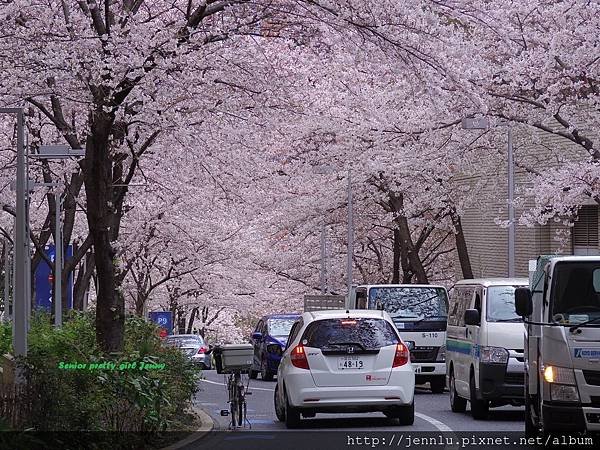 4 3 Roppongi Sakurazaka (3).JPG