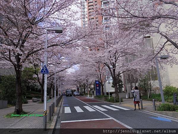 4 3 Roppongi Sakurazaka (4).JPG