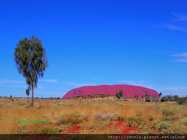 3 8 Ayers Rock - Afternoon (1).JPG