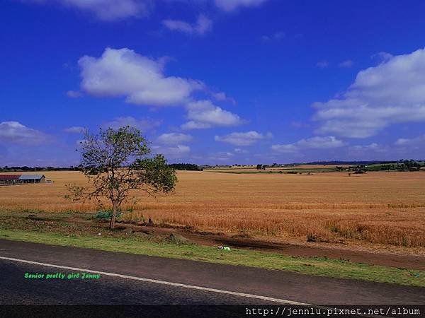 1 3 Way to Masai Mara (1).JPG