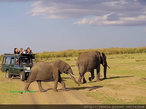 1 7 Masai Mara (2).JPG