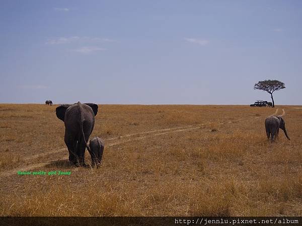 3 7 Masai Mara (2).JPG