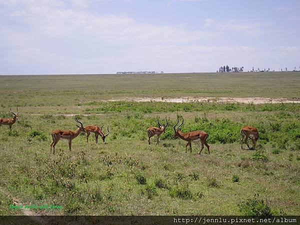 4 3 Lake Nakuru (2).JPG