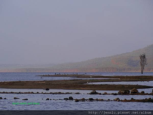 4 11 Lake Nakuru  (1).JPG