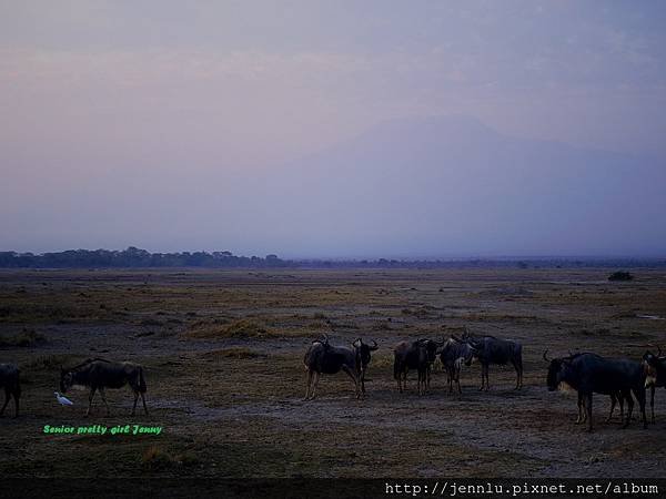 7 5 Amboseli - Mt Kilimanjaro (2).JPG