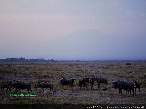 7 5 Amboseli - Mt Kilimanjaro (1).JPG