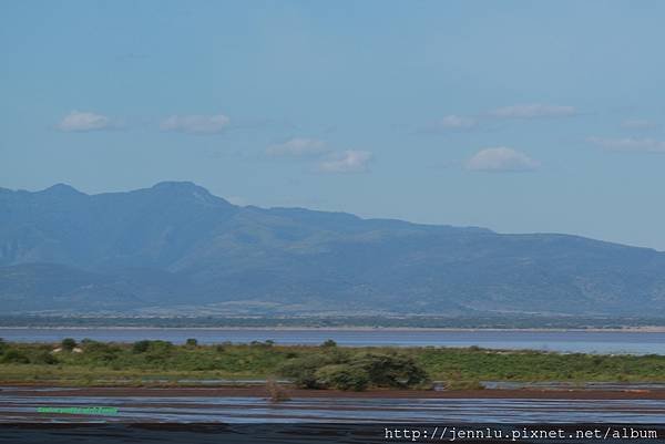 5 6 Lake Manyara  (7).JPG