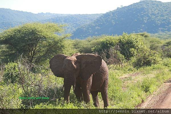 5 6 Lake Manyara  (8).JPG