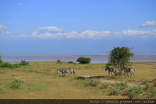 6 4 Amboseli (3).JPG