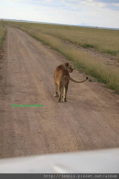 6 4 Amboseli (10).JPG