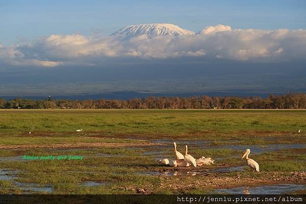 6 4 Amboseli (16).JPG