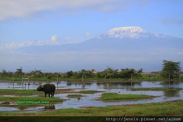 8 1 Amboseli (6).JPG