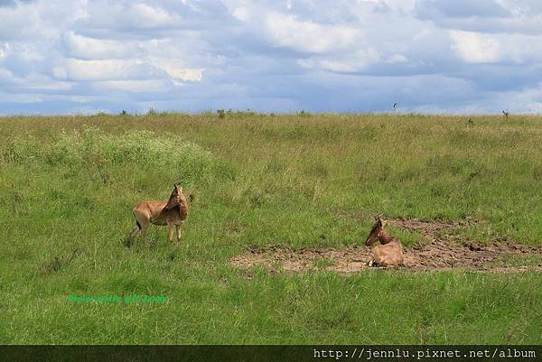 8 2 Nairobi National Park (6).JPG