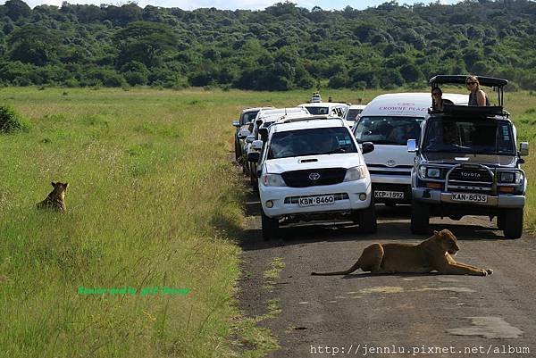 8 2 Nairobi National Park (12).JPG