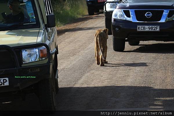 8 2 Nairobi National Park (18).JPG