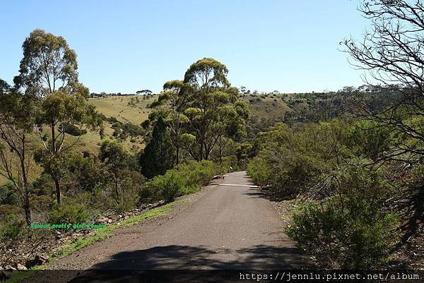 11 Organ Pipes National Park.JPG