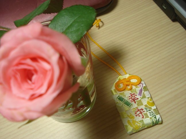 DSC05221.JPG