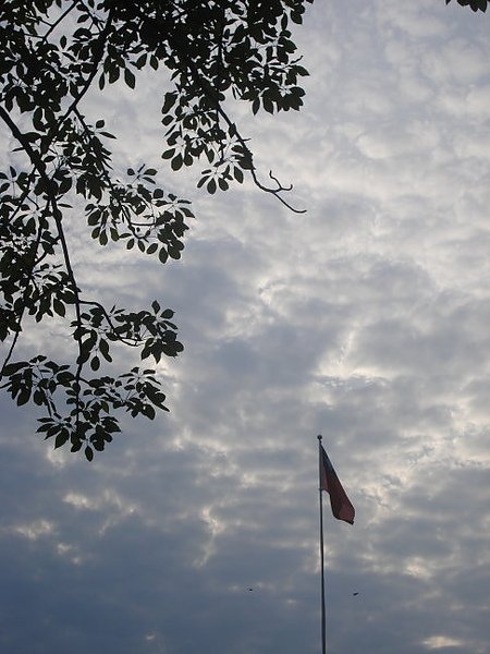 DSC02148.JPG