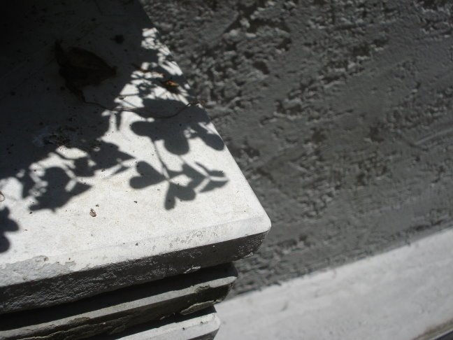 DSC03095.JPG