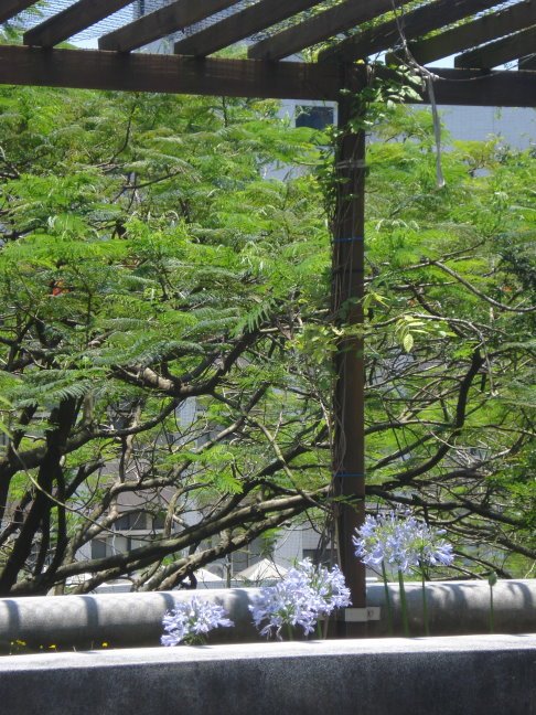 DSC03103.JPG