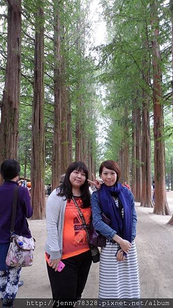SAM_0317.JPG
